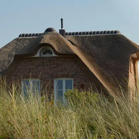Ostduene Duenenmeer Juist